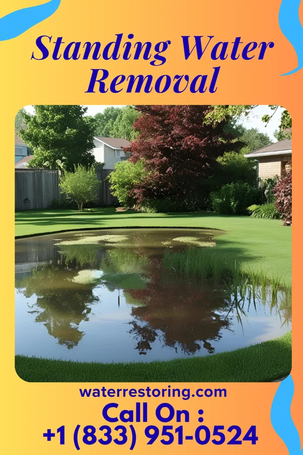 Standing Water Removal in Yardley, PA